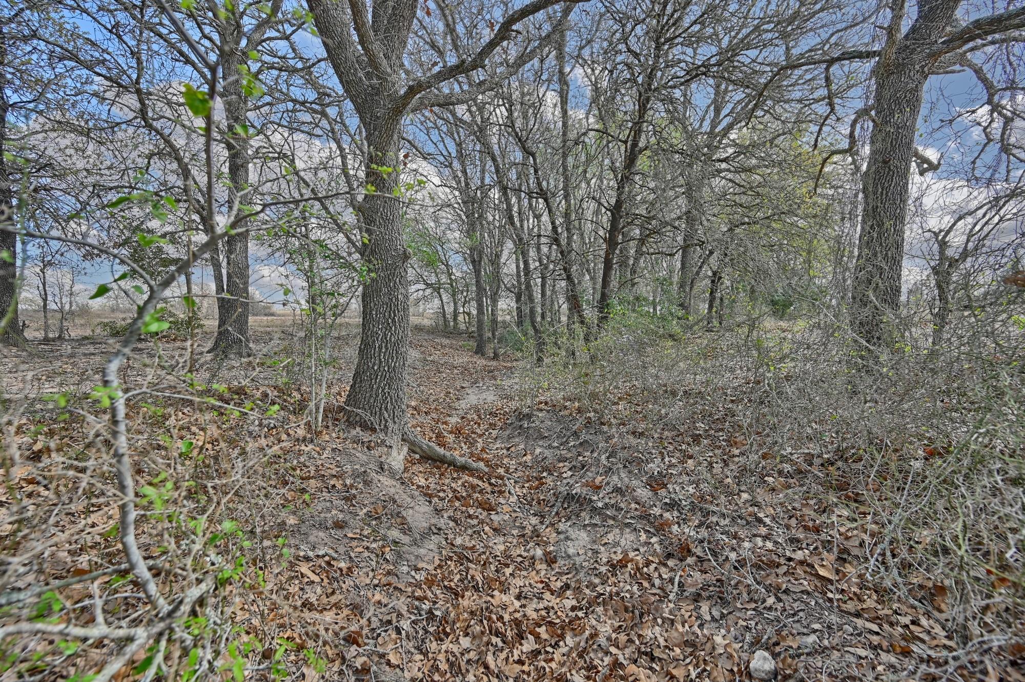 TBD FM 2440, Giddings, TX 78942