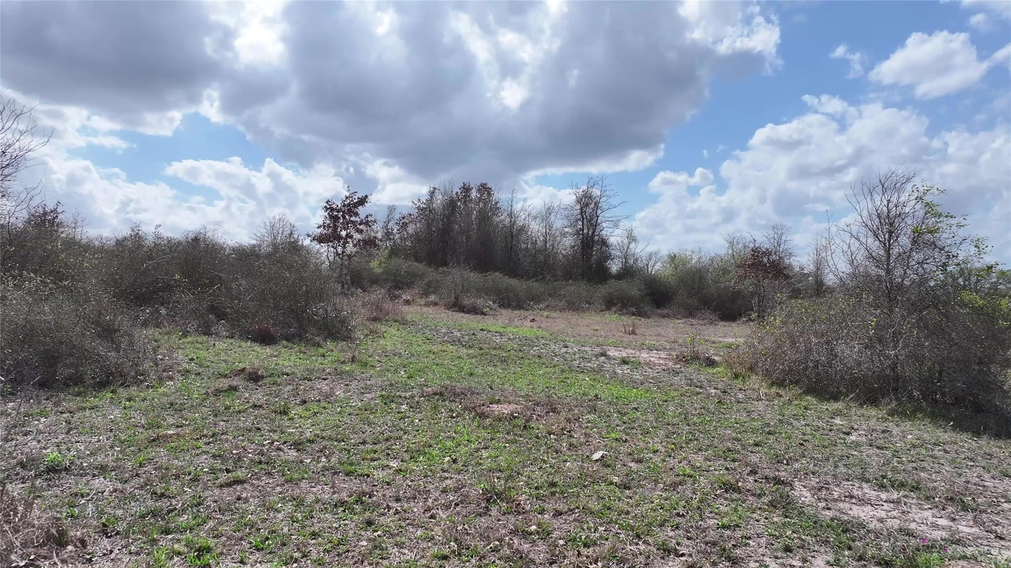 TBD FM 2440, Giddings, TX 78942