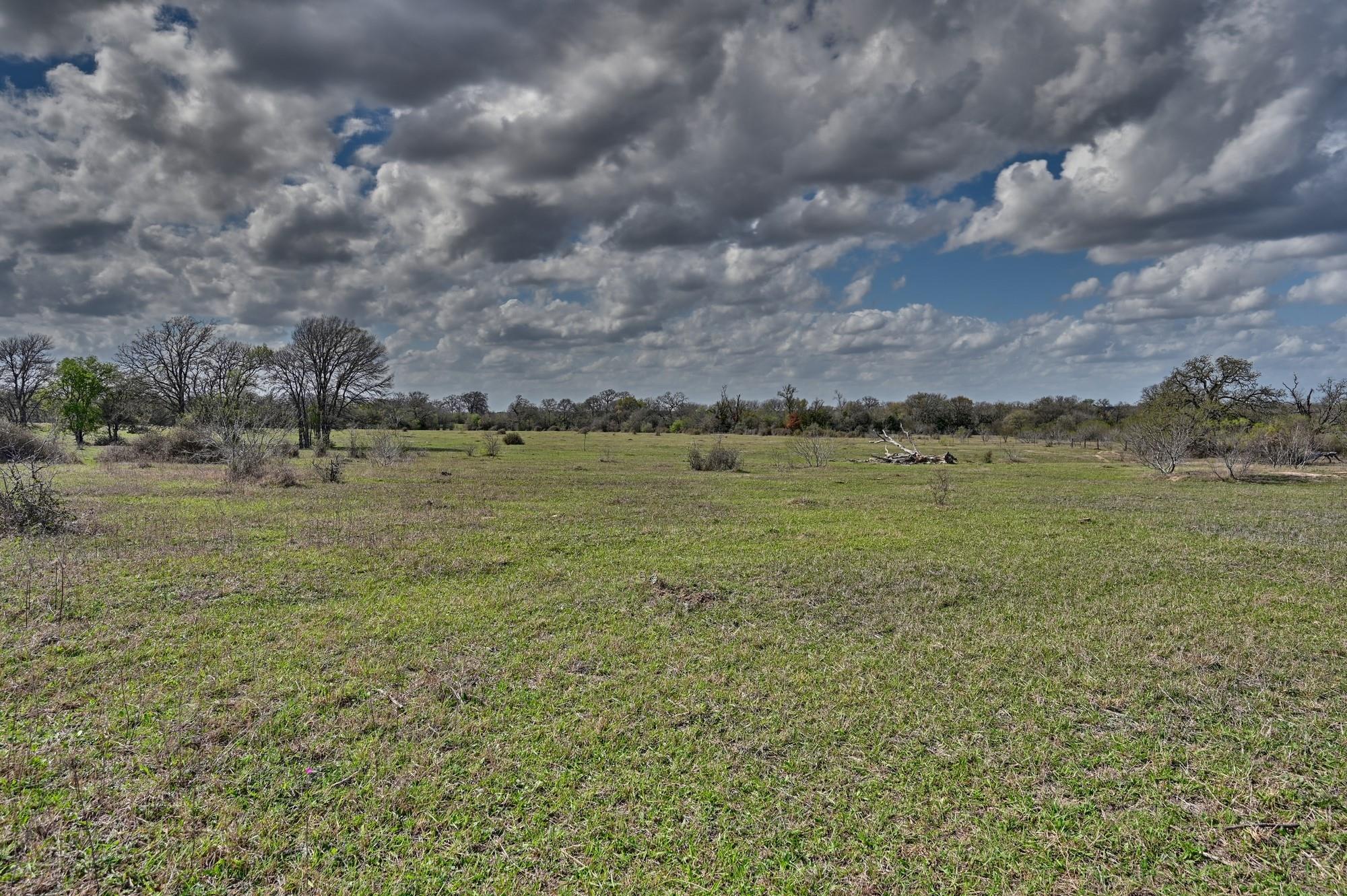 TBD FM 2440, Giddings, TX 78942