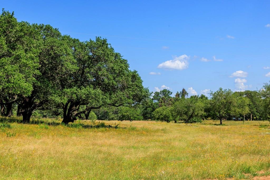 3736-1 County 113 Rd, Llano, TX 78643