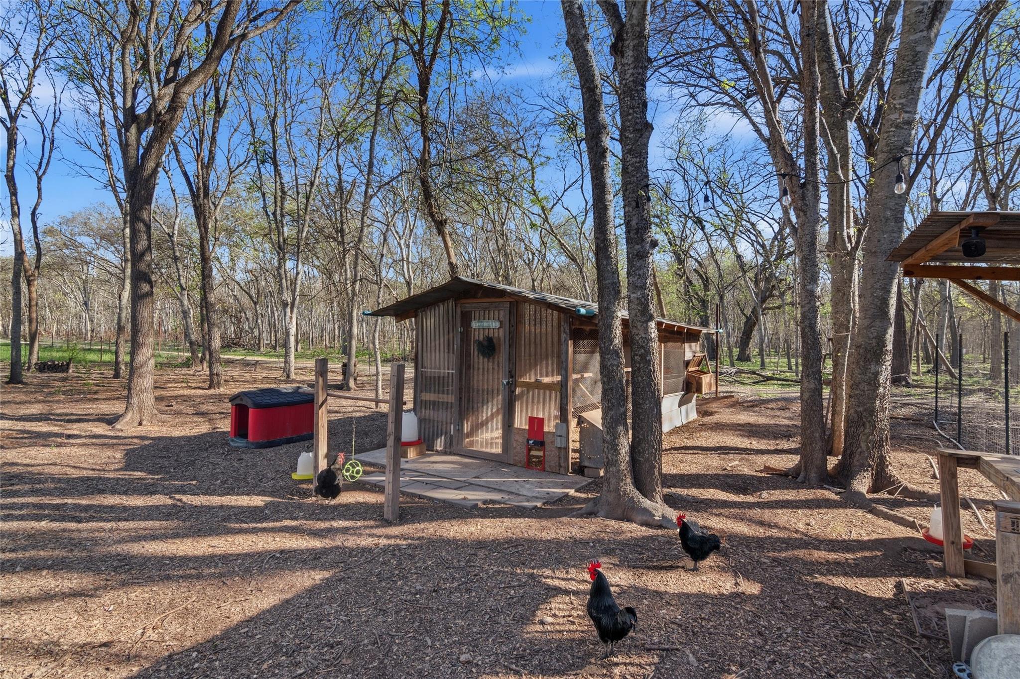 121 Lakeside Dr, Seguin, TX 78155