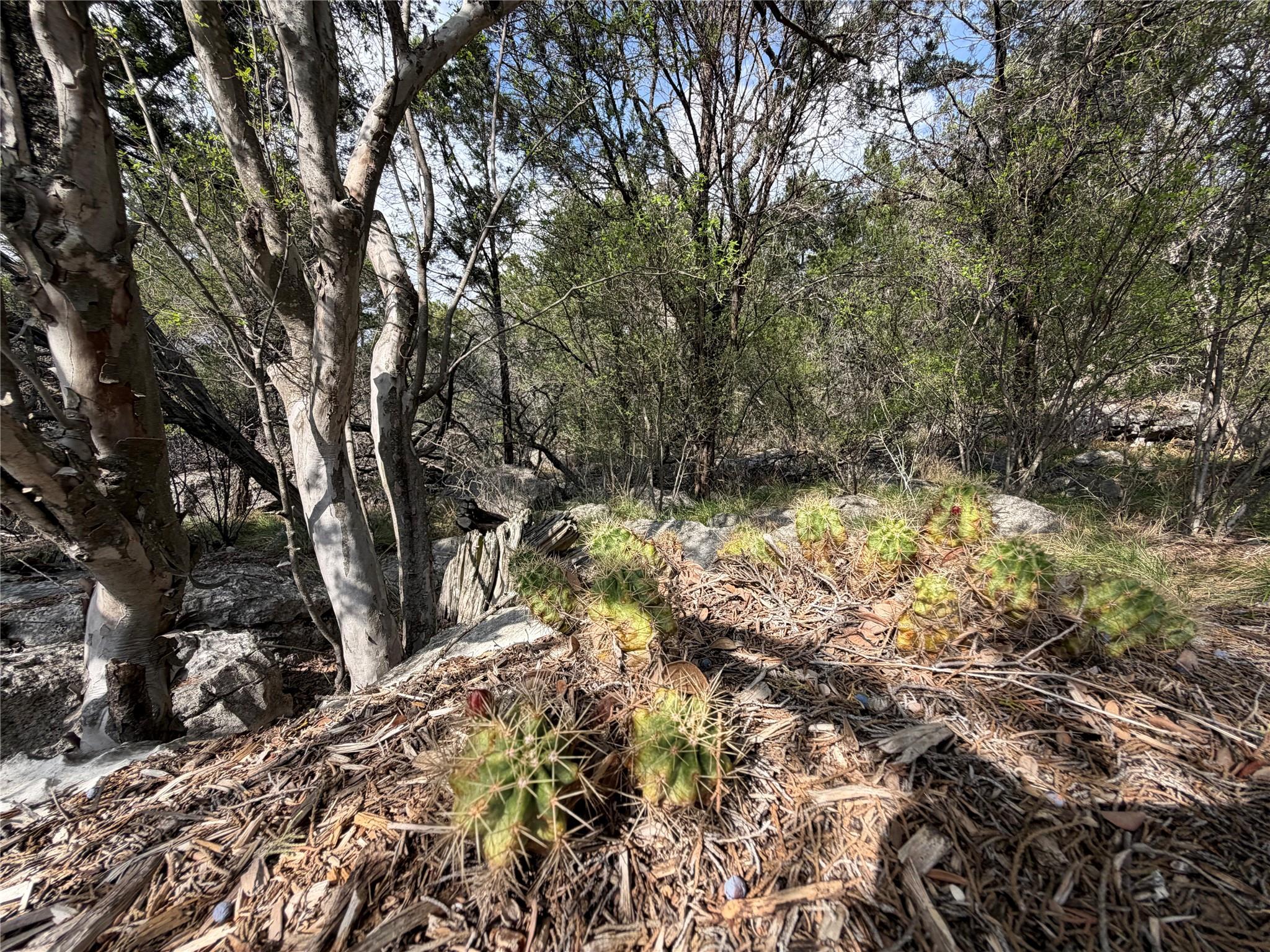 000 Saddle Back LOT K15031, Horseshoe Bay, TX 78657