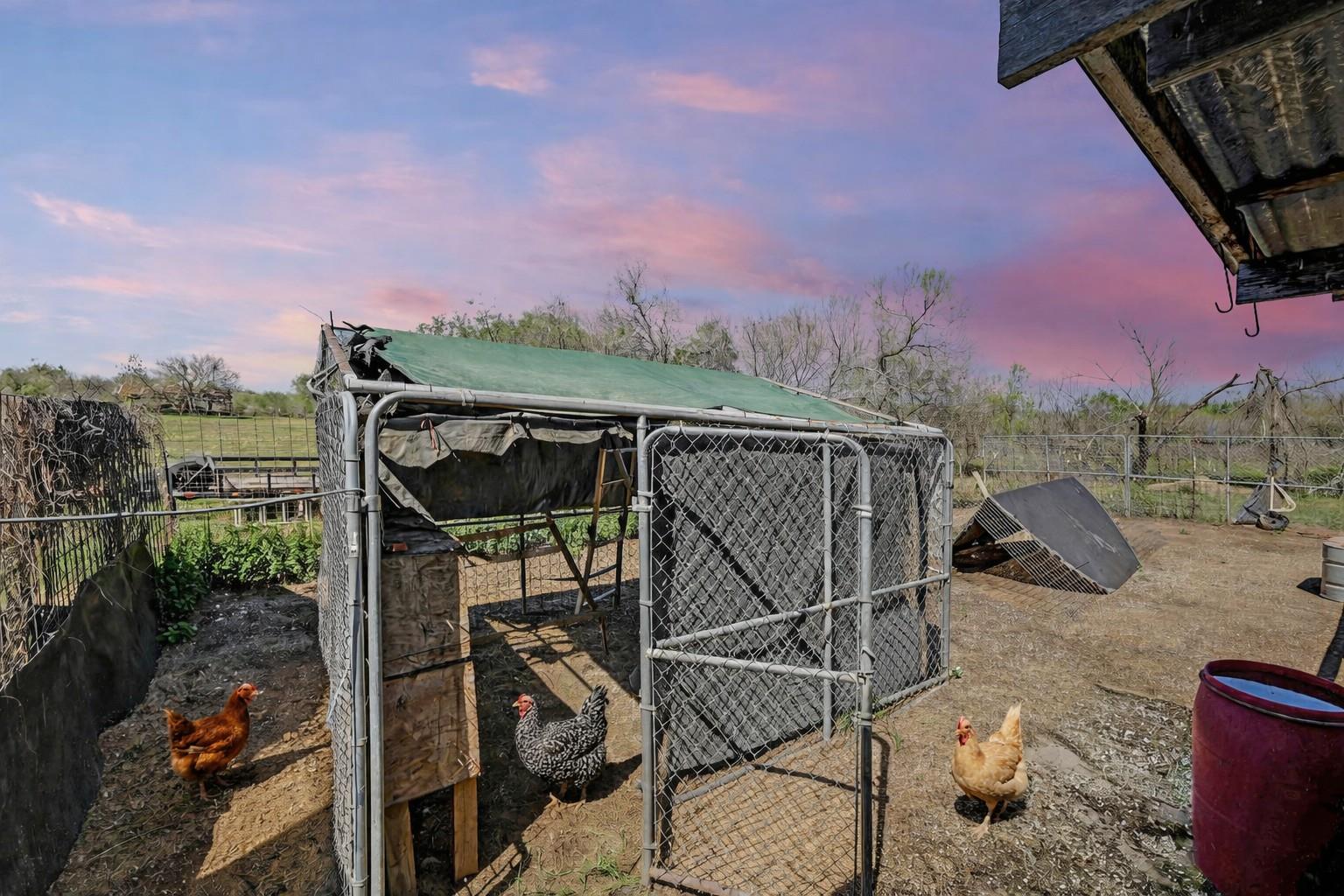 11739 County Road 401, Stockdale, TX 78160