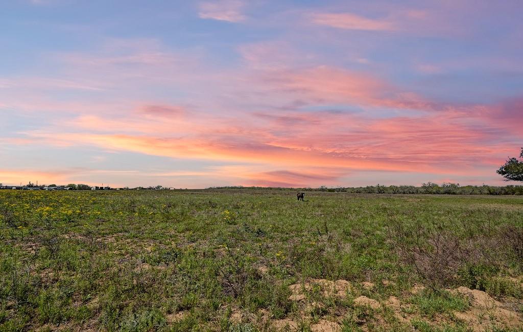 11739 County Road 401, Stockdale, TX 78160