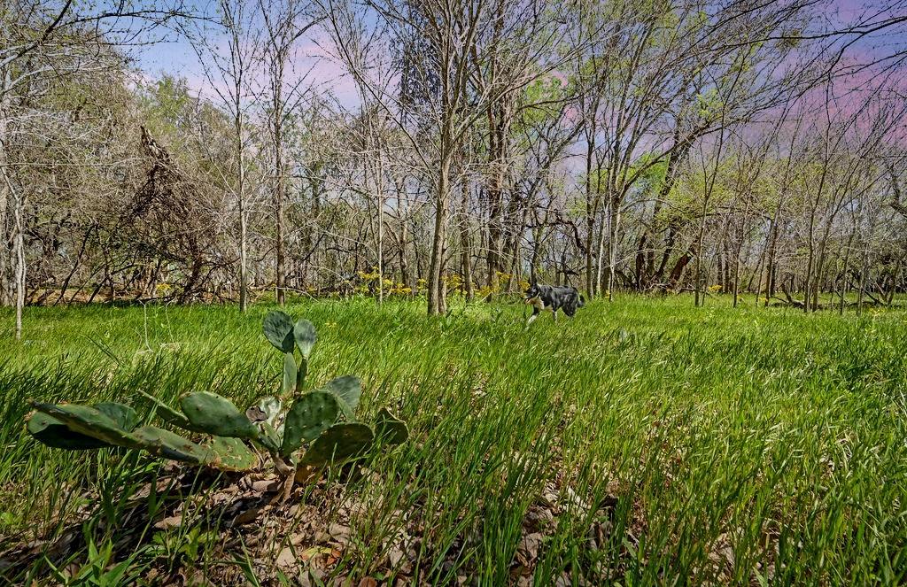 11739 County Road 401, Stockdale, TX 78160