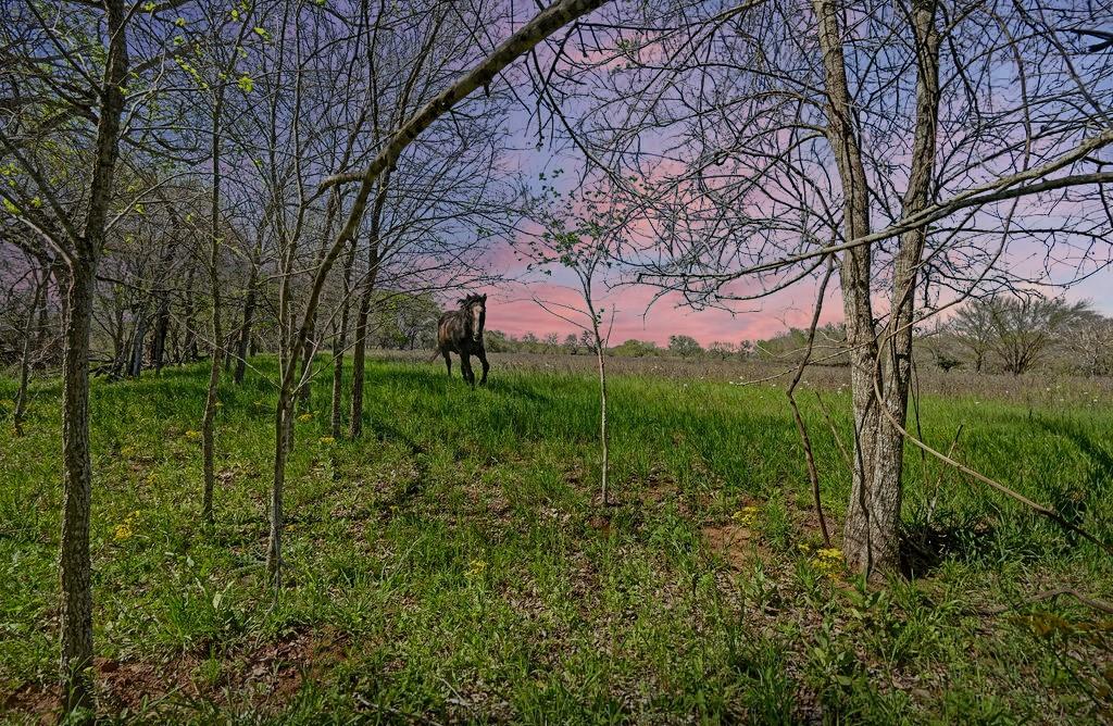 11739 County Road 401, Stockdale, TX 78160