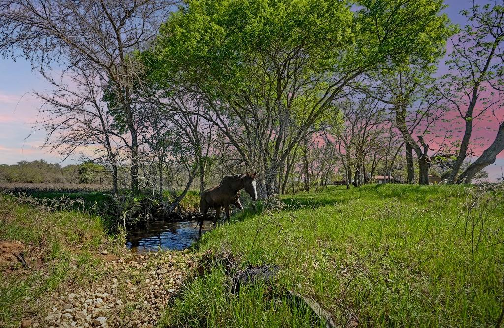 11739 County Road 401, Stockdale, TX 78160