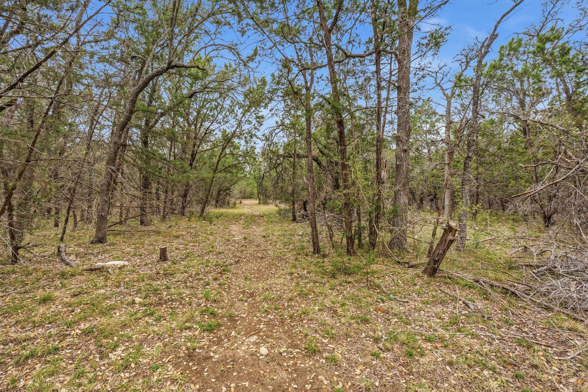 750 County Road 207 Rd, Liberty Hill, TX 78642