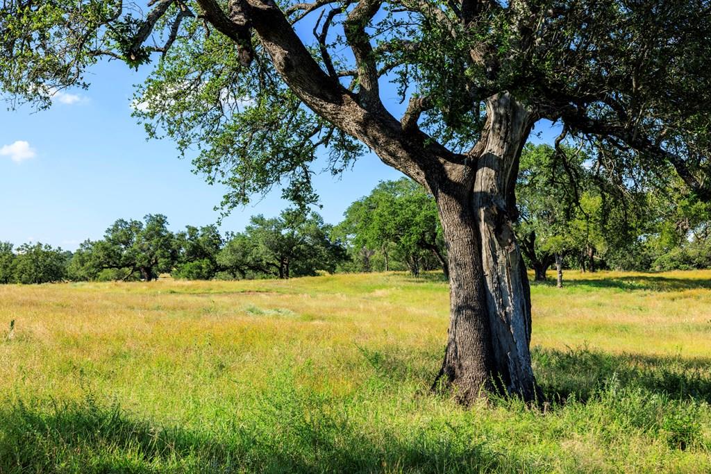 3736-3 County Rd 113 Rd, Llano, TX 78643