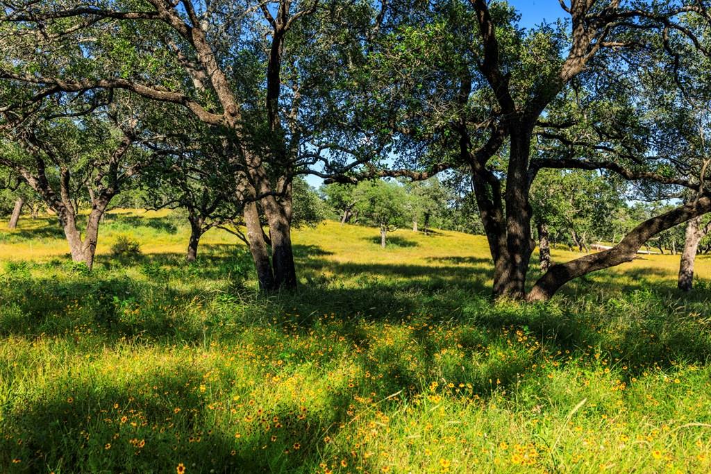 3736-3 County Rd 113 Rd, Llano, TX 78643