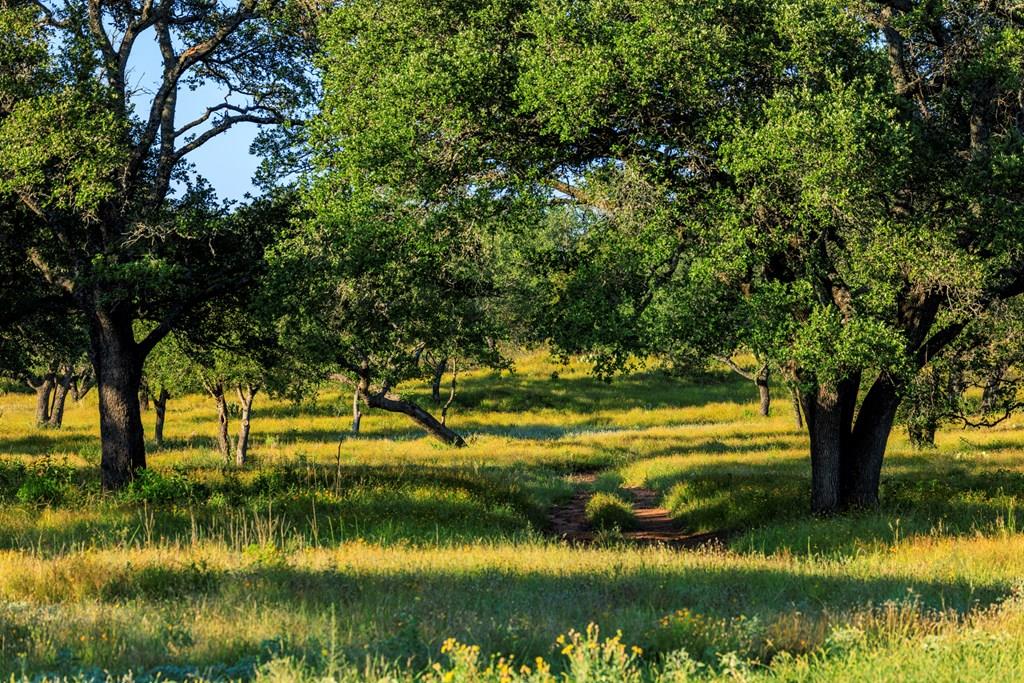 3736-3 County Rd 113 Rd, Llano, TX 78643