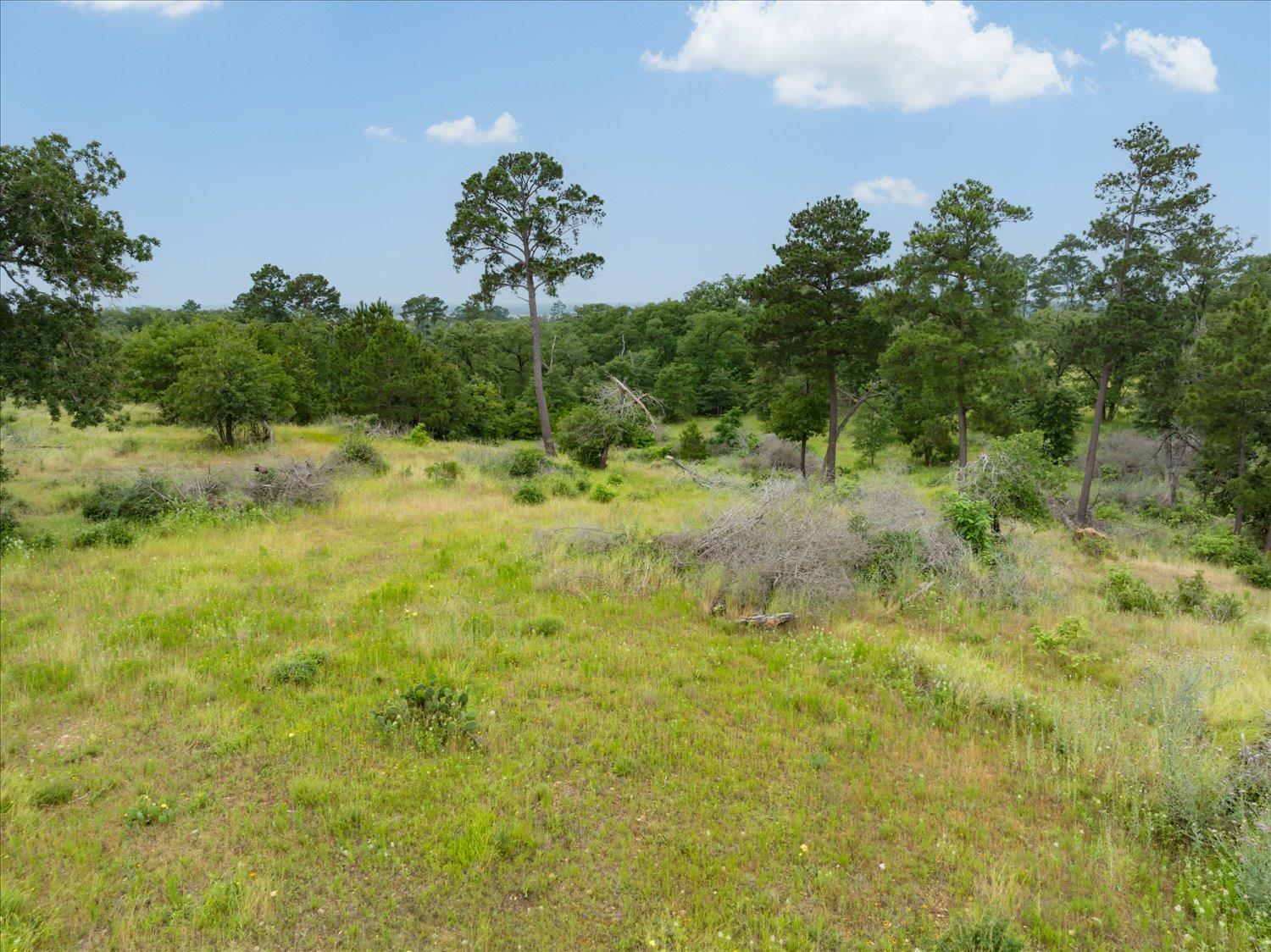 000 McAllister Rd, Bastrop, TX 78602