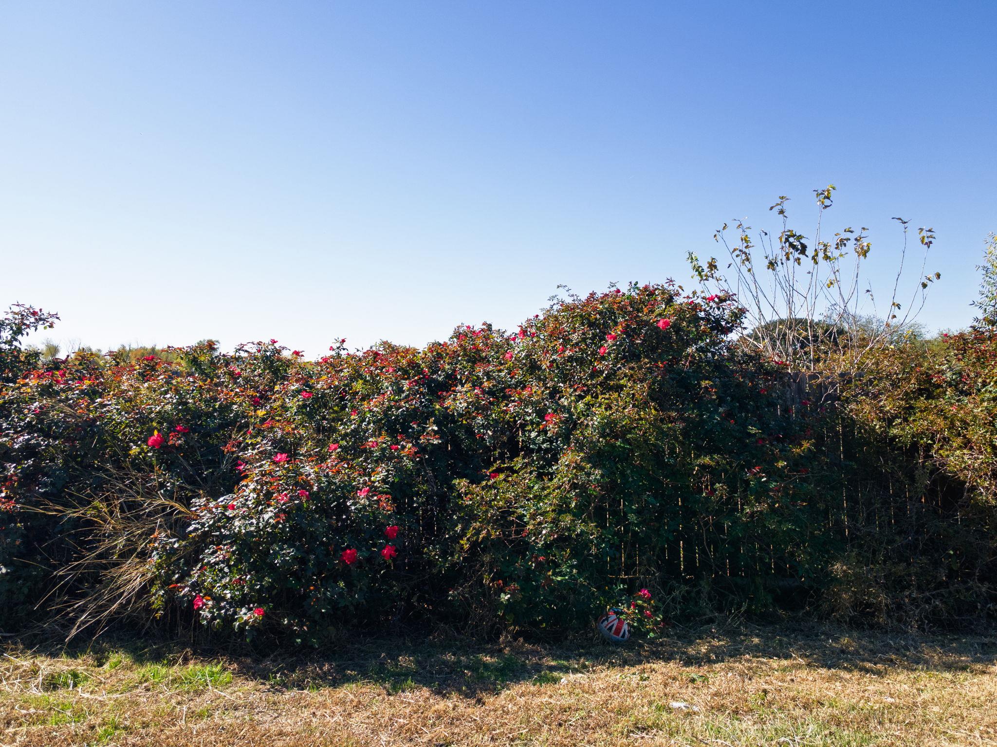 1502 Shims Blvd, Killeen, TX 76543