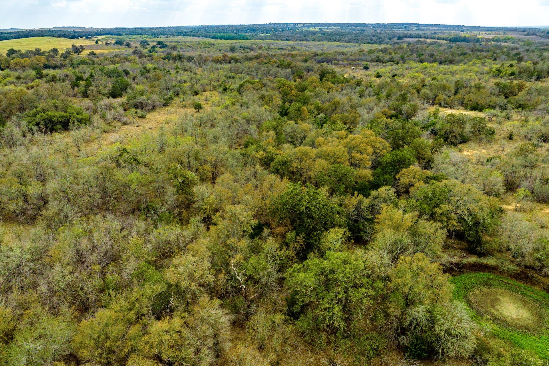 TBD FM 713, Dale, TX 78616