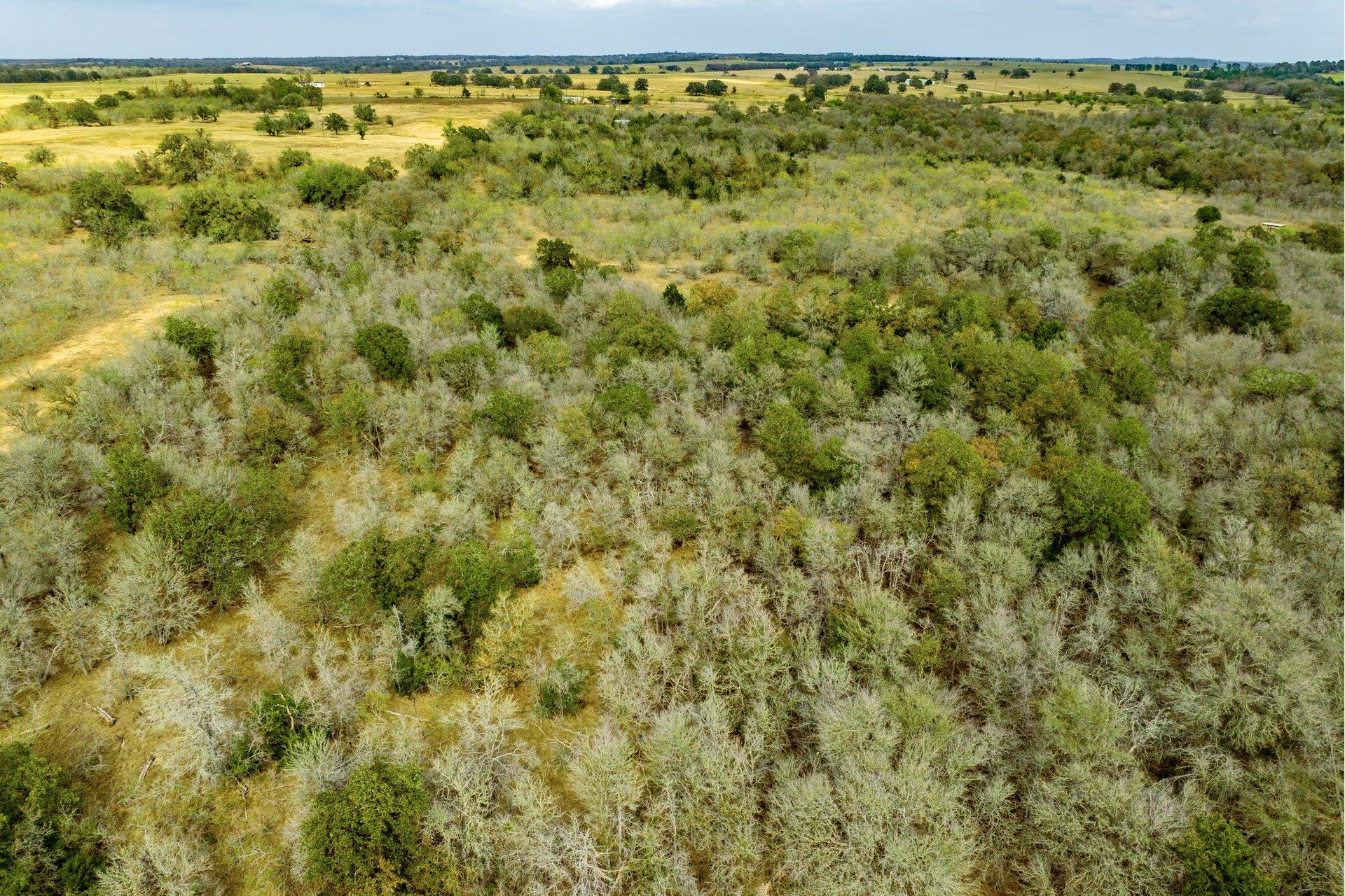 TBD FM 713, Dale, TX 78616