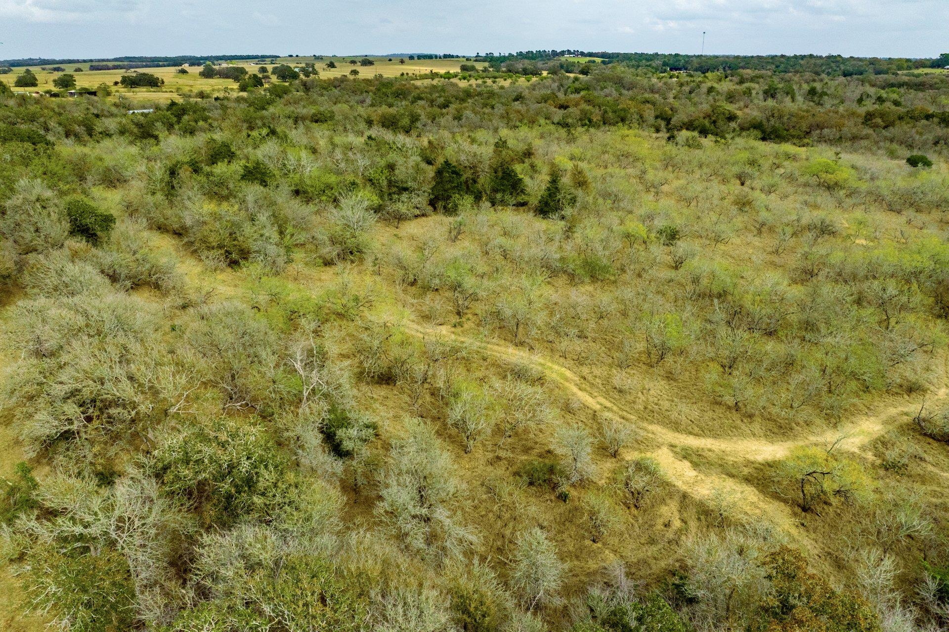TBD FM 713, Dale, TX 78616