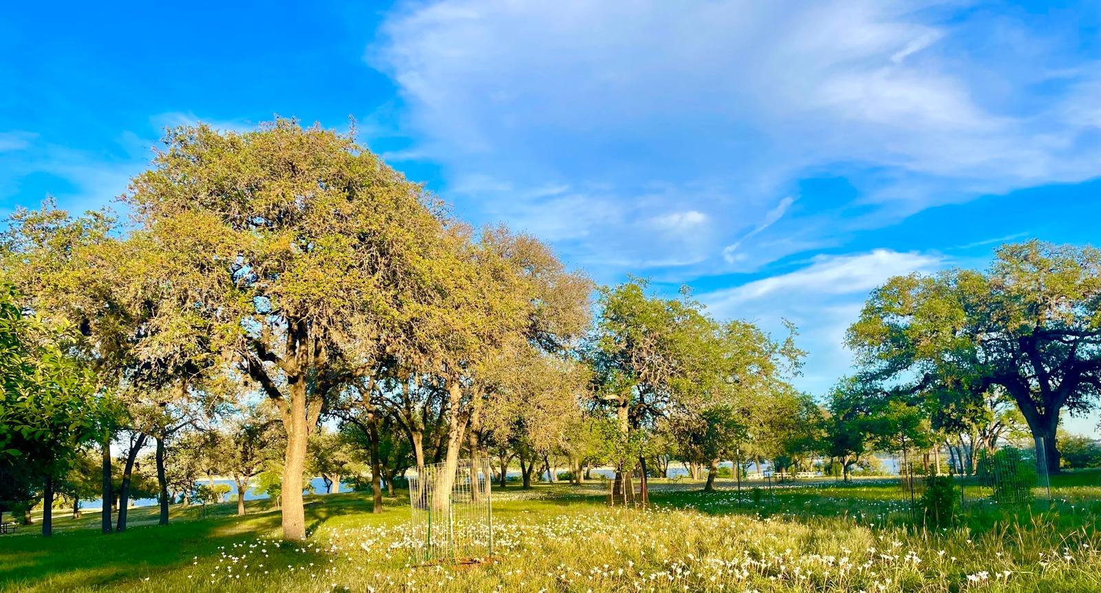 5802 Longhorn Lndg, Austin, TX 78734