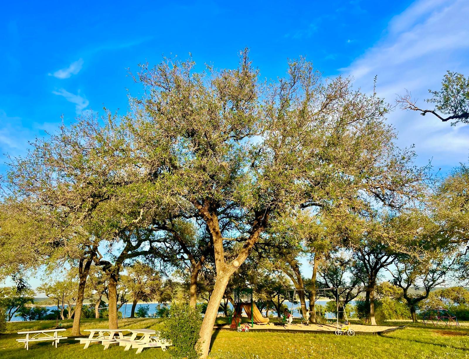 5802 Longhorn Lndg, Austin, TX 78734