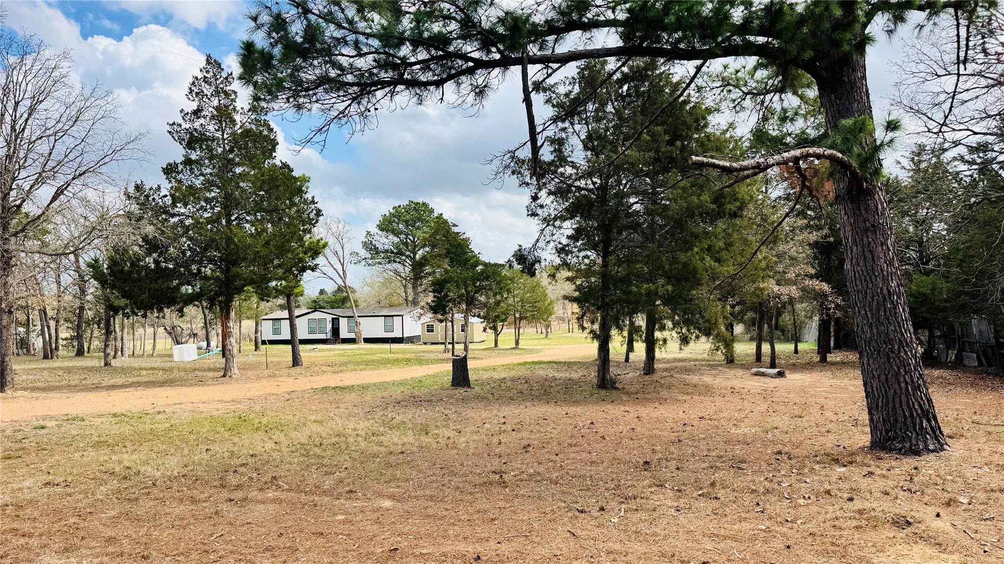 557 FM 2336, Bastrop, TX 78602