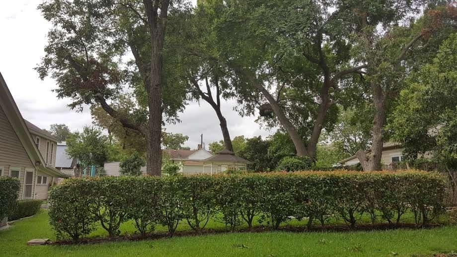 316 1/2 E 7th St, Georgetown, TX 78626