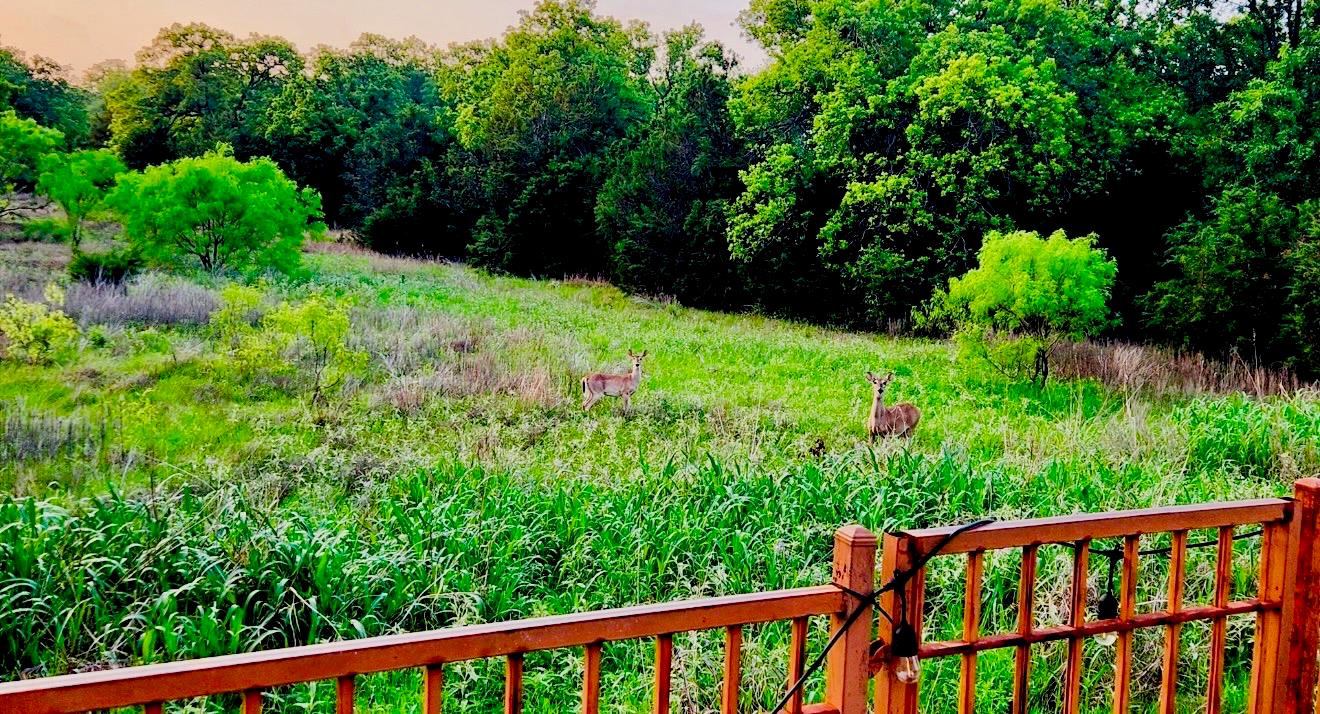 2937 Desert Candle Dr, Round Rock, TX 78681