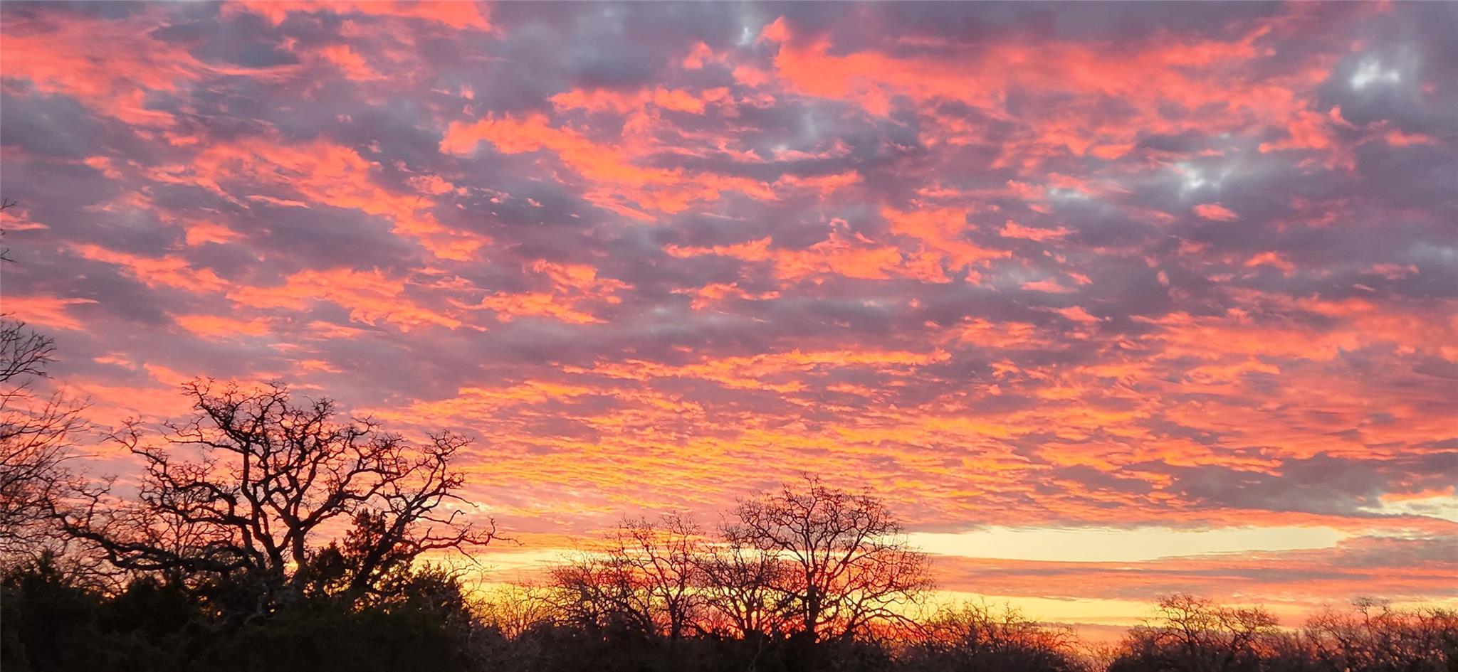 2937 Desert Candle Dr, Round Rock, TX 78681