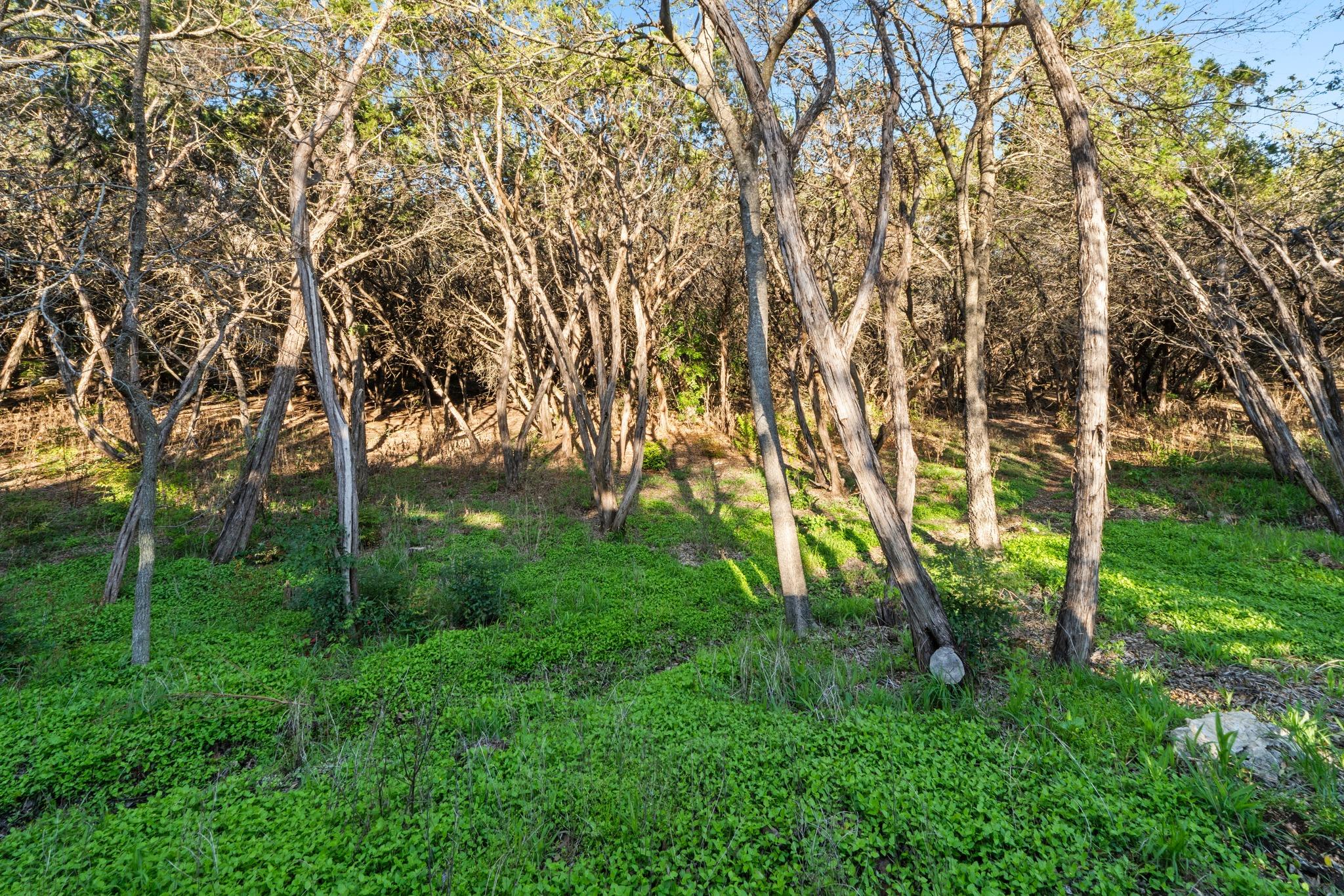 2200 Homedale Dr # B, Austin, TX 78704