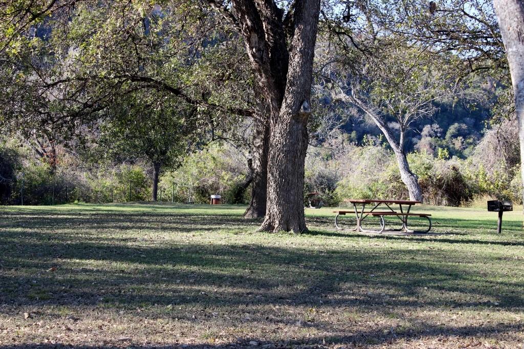 3117 FRITZ HUGHES PARK Rd # 3117, Austin, TX 78732