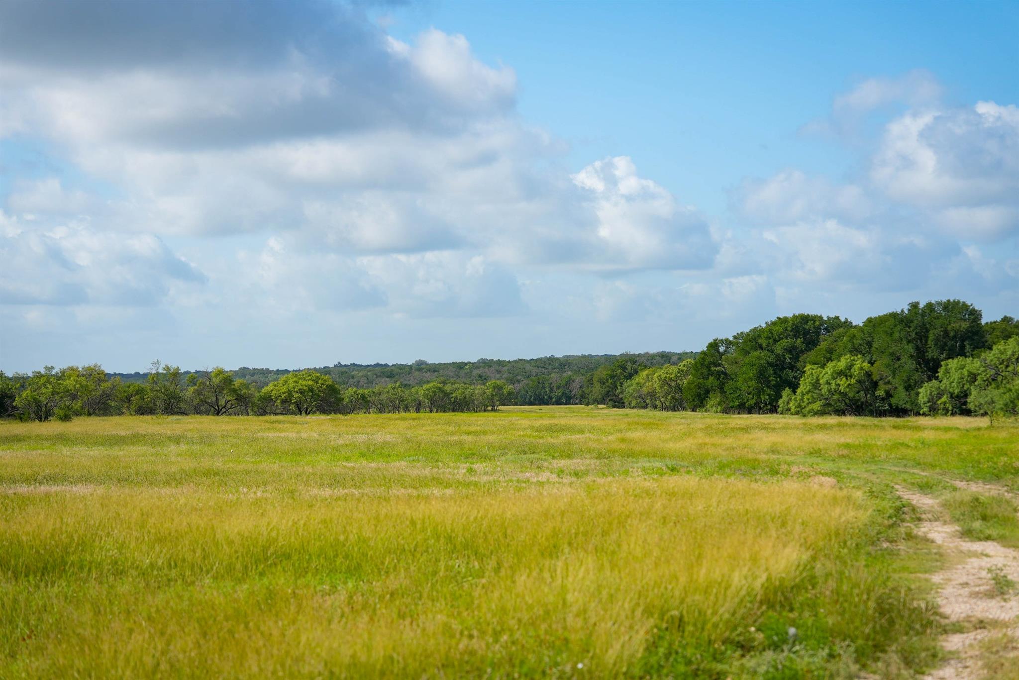 1805 County Road 180 Rd, Purmela, TX 76566