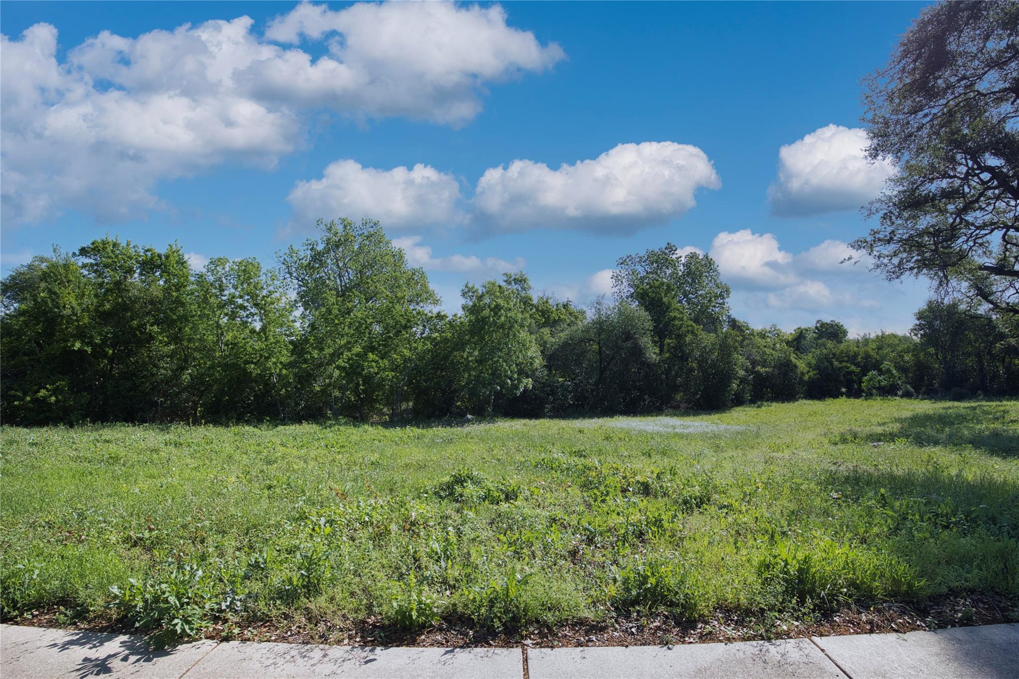 504 Prize Oaks Dr, Cedar Park, TX 78613