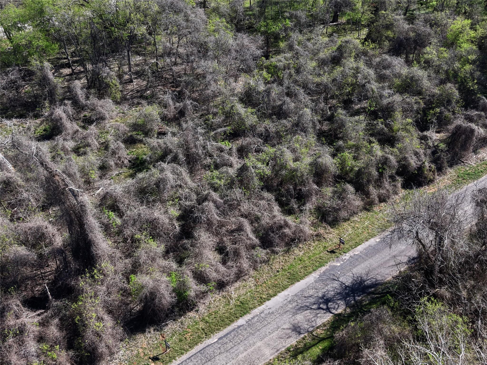 450 Riverside Dr, Bastrop, TX 78602