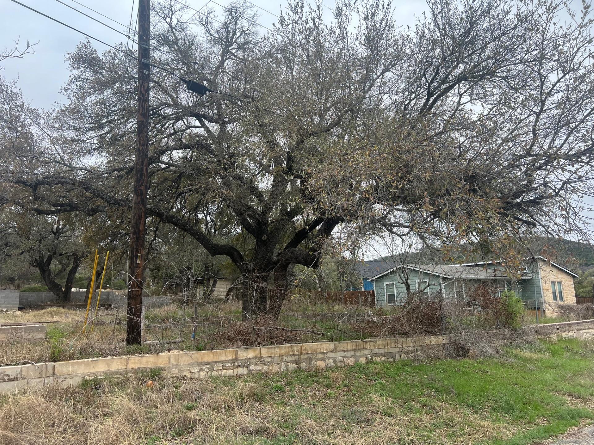 11402 Bertram St # 6, Jonestown, TX 78645