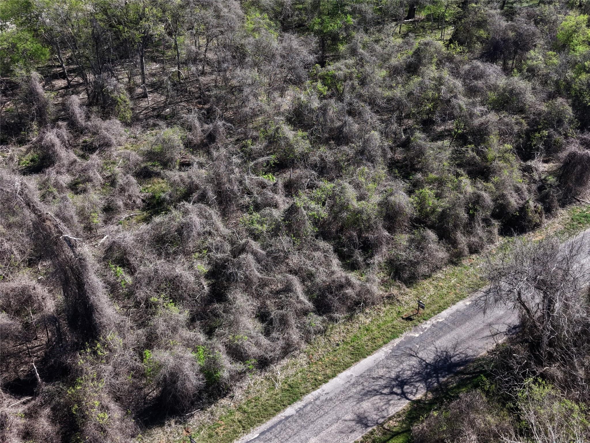 452 E Riverside Dr, Bastrop, TX 78602