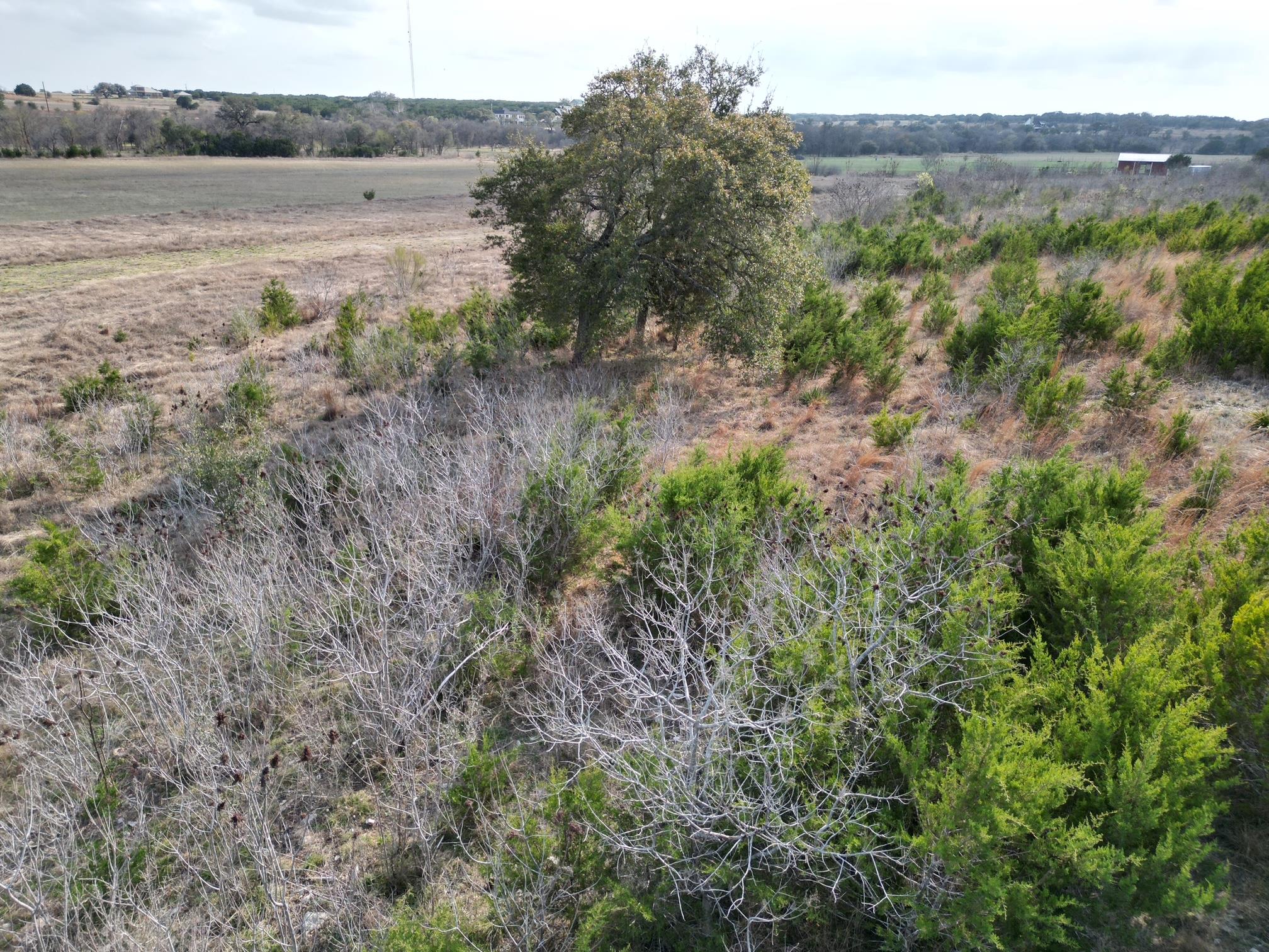 104 Scotty Ln, Liberty Hill, TX 78642