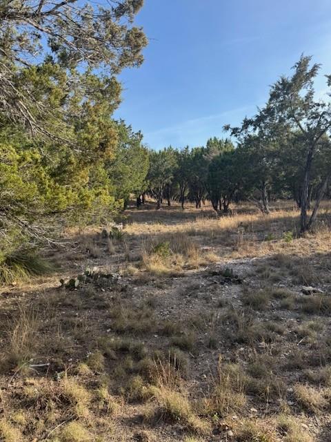 20003 Continental Cv, Leander, TX 78645