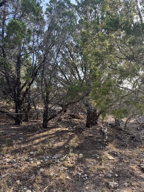 20003 Continental Cv, Leander, TX 78645