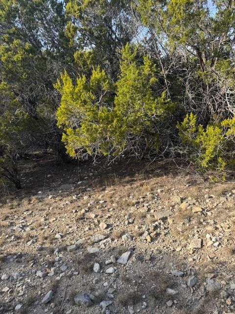 20003 Continental Cv, Leander, TX 78645