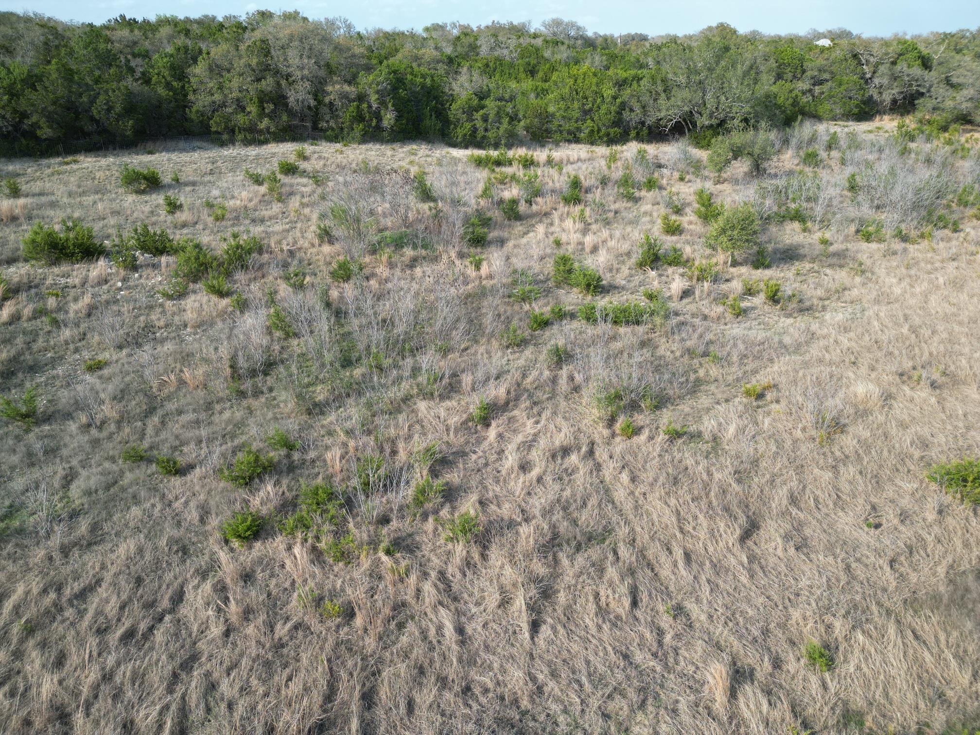 116 Scotty Ln, Liberty Hill, TX 78642