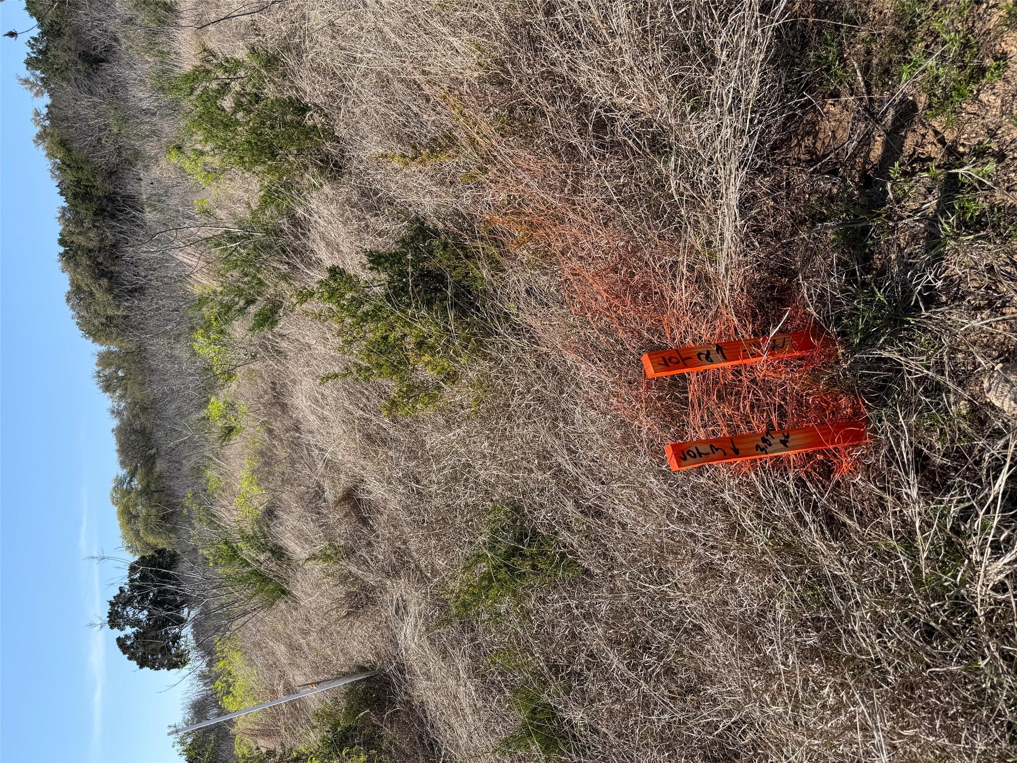 125 Scotty Ln, Liberty Hill, TX 78642