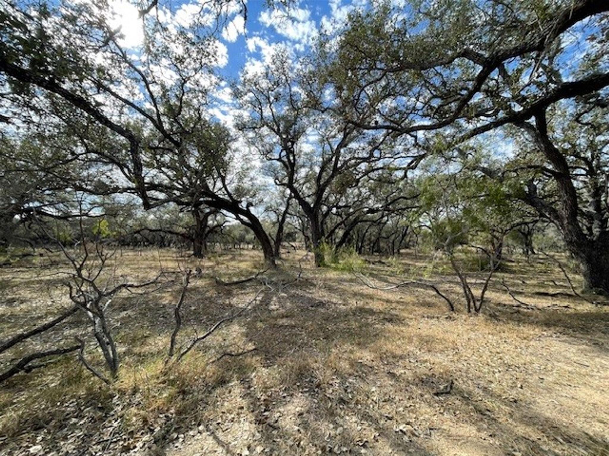 1384 County Road 326, Adkins, TX 78101