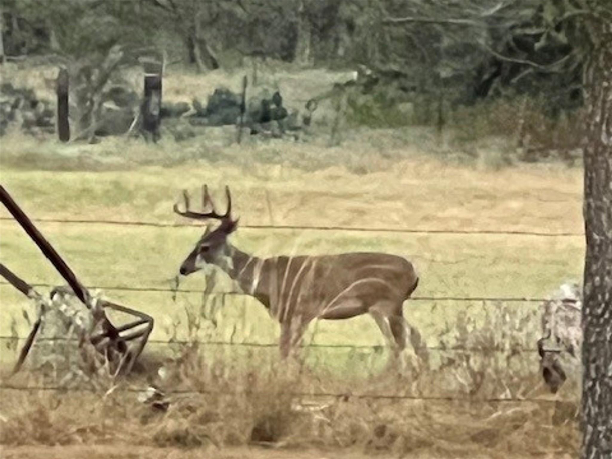 1384 County Road 326, Adkins, TX 78101