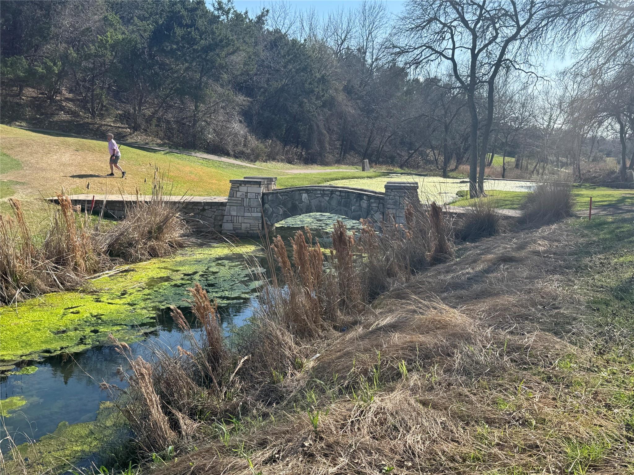 2220 Annassa Ct # 76, Leander, TX 78641