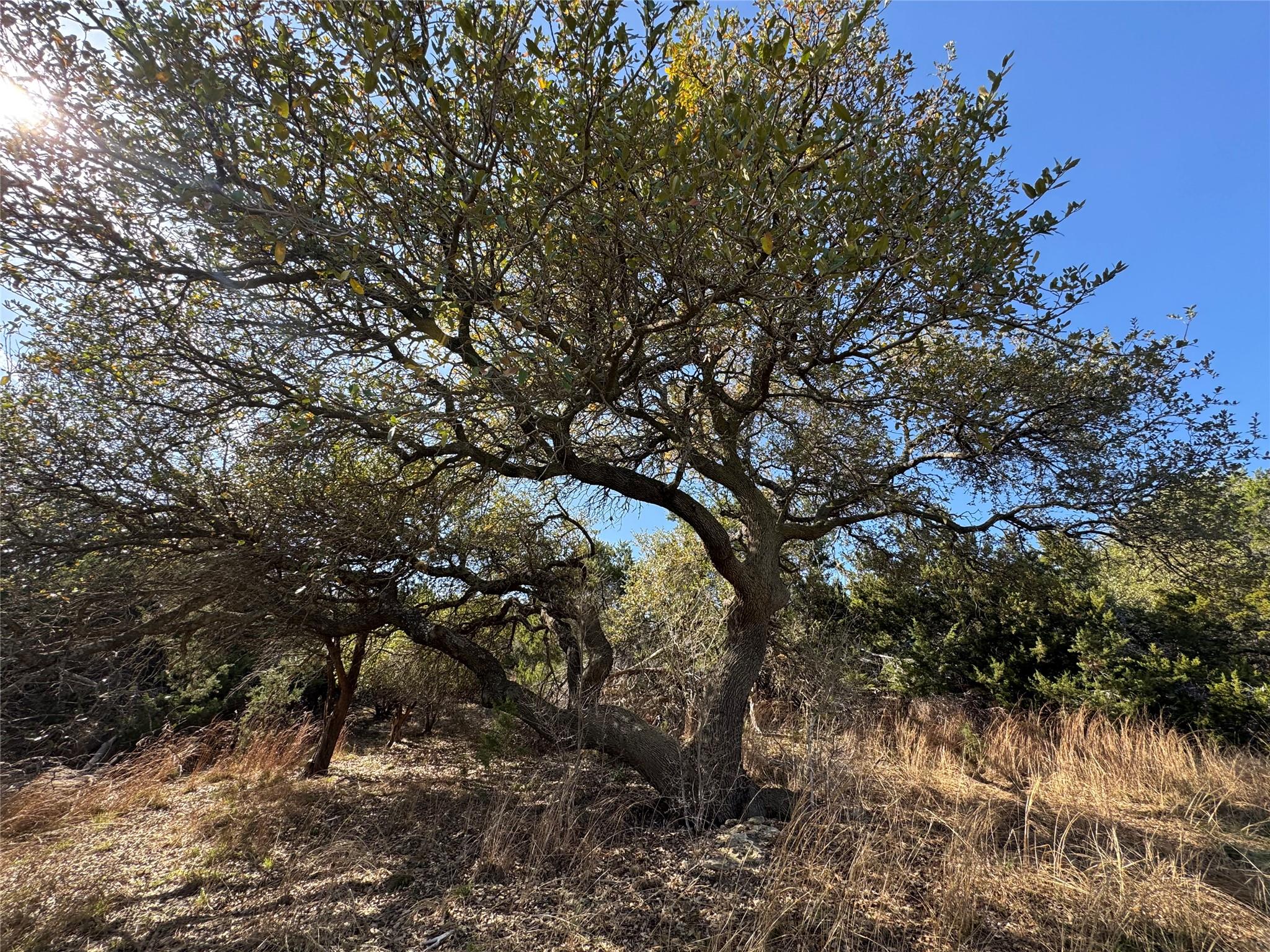 2220 Annassa Ct # 76, Leander, TX 78641