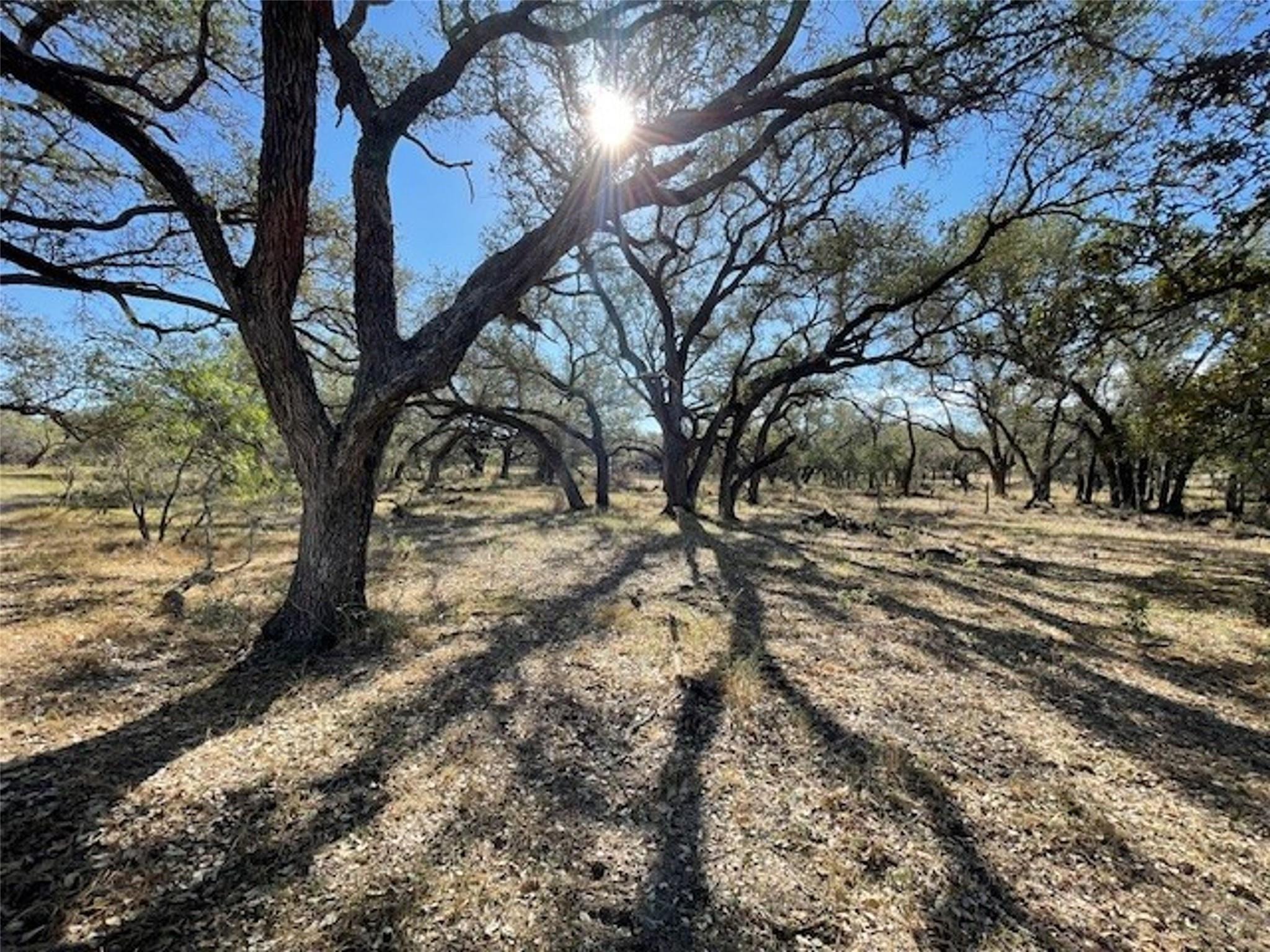 1384 County Road 326, Adkins, TX 78101