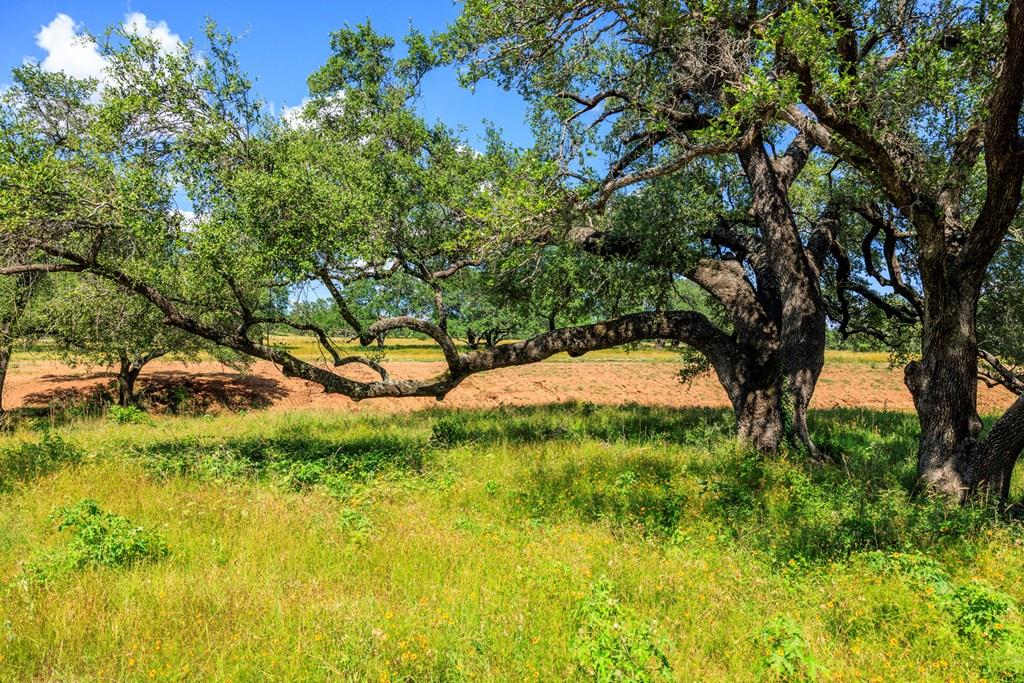 3736-5 County Rd 113, Llano, TX 78643