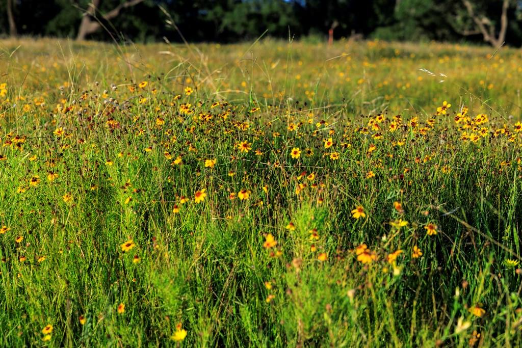 3736-6 County Rd 113, Llano, TX 78643