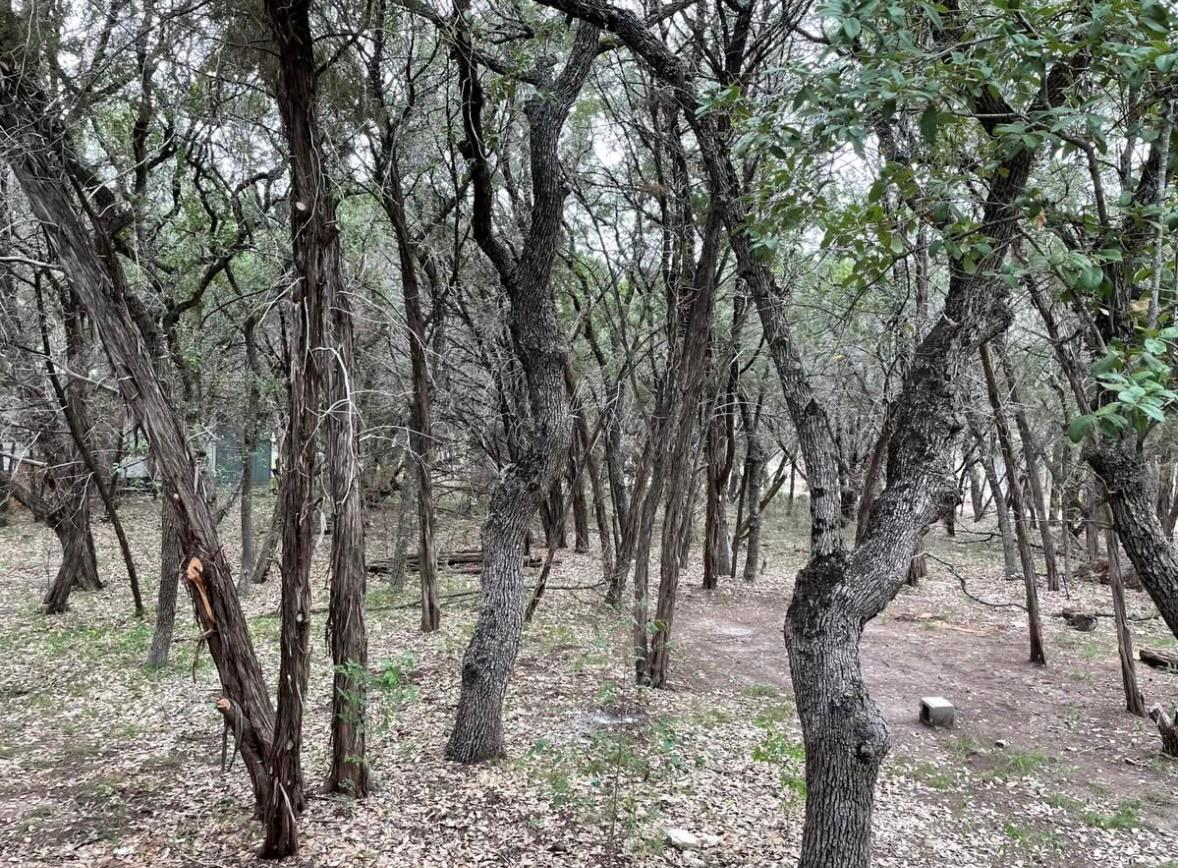 23081 Nameless Rd # B, Leander, TX 78641