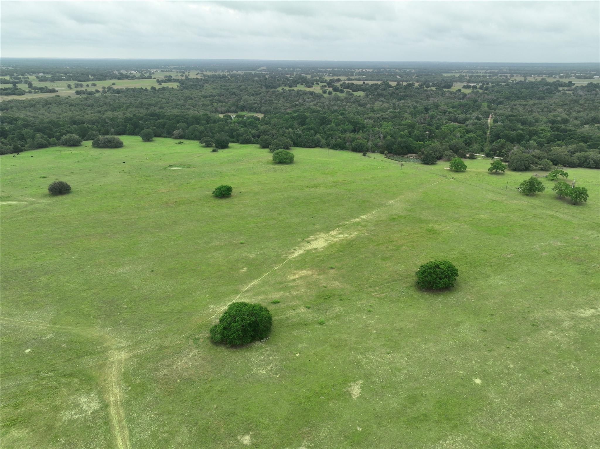 TBD Lot 2 County Road 127 Rd, Ledbetter, TX 78946