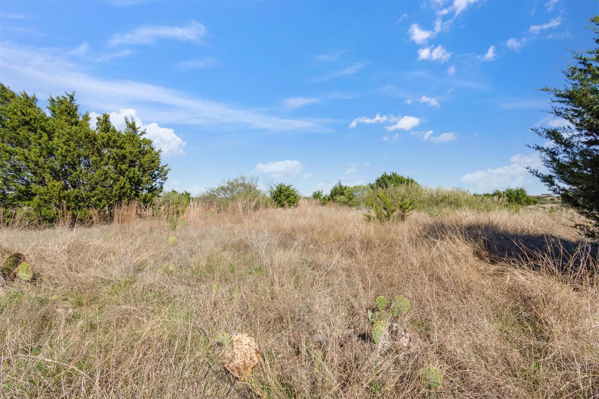Lot 65 Three Creeks Dr, Bertram, TX 78605
