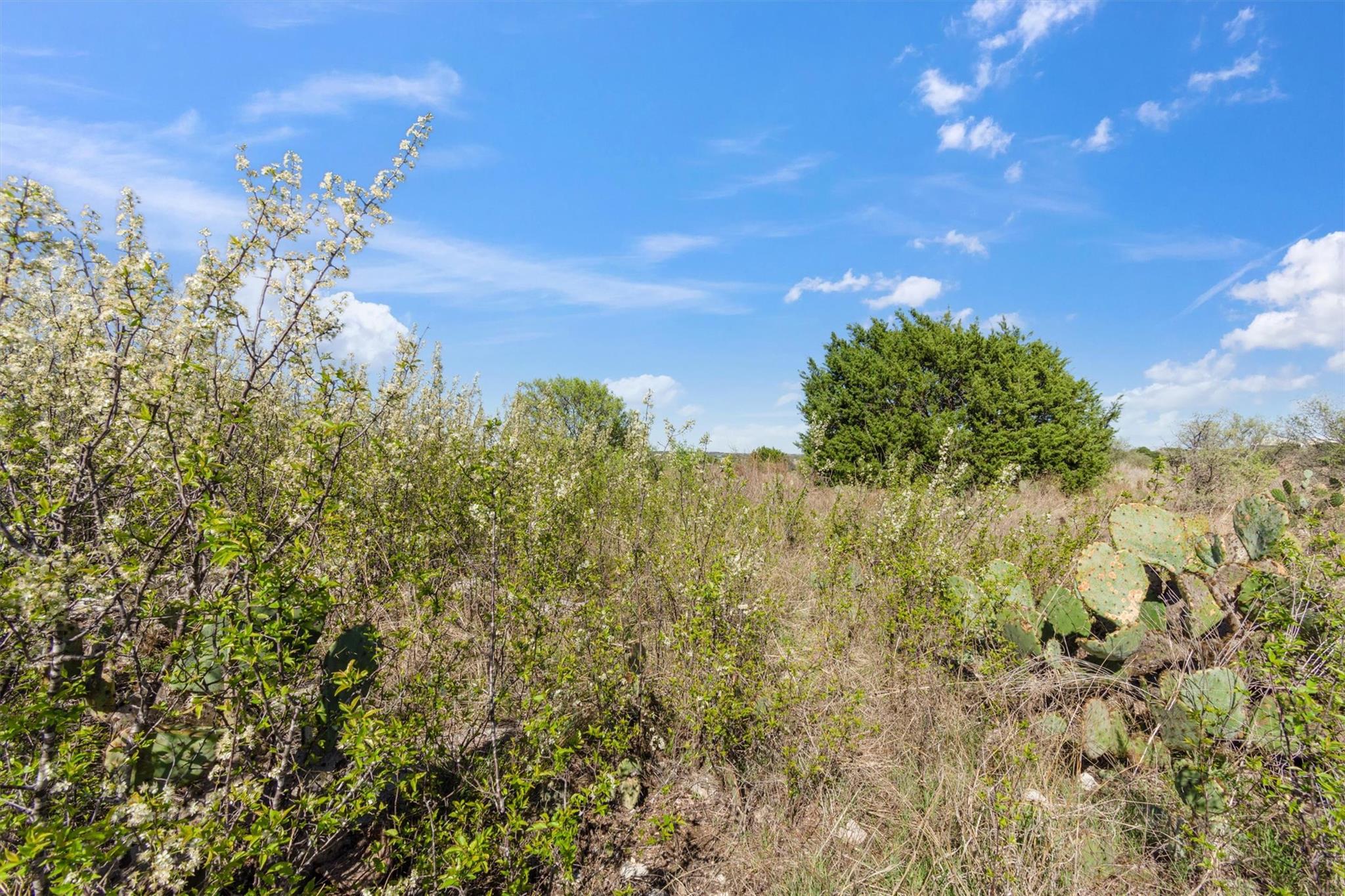 Lot 65 Three Creeks Dr, Bertram, TX 78605